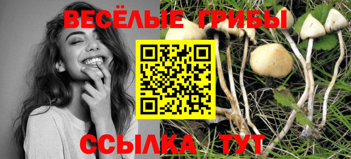 Галлюциногенные грибы Magic Shrooms Лобня