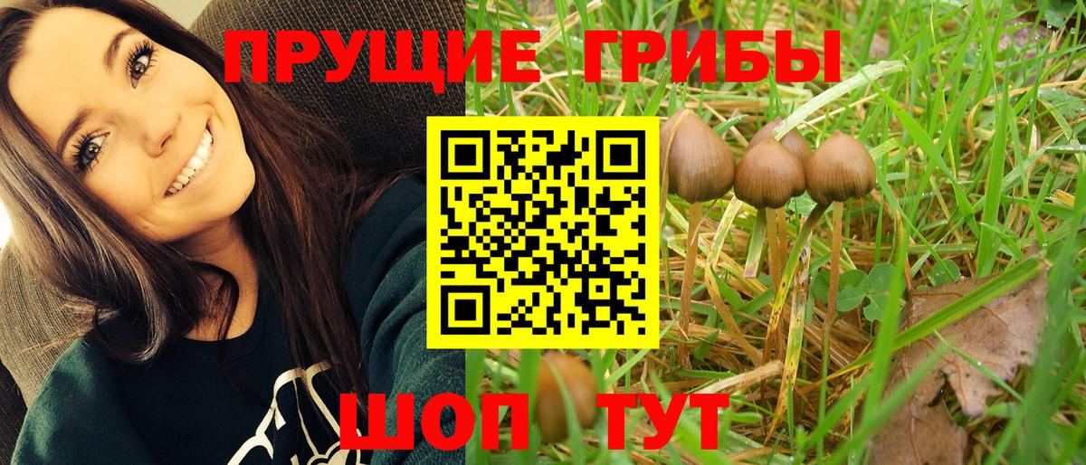 Лобня  Псилоцибиновые грибы Psilocybine cubensis  Галлюциногенные грибы мухоморы  Вход с VPN 