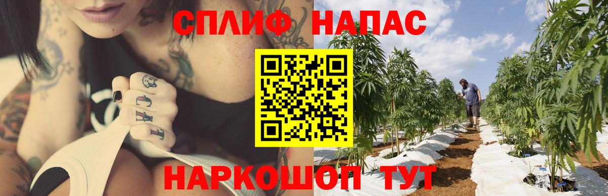 Конопля Amnesia Лобня